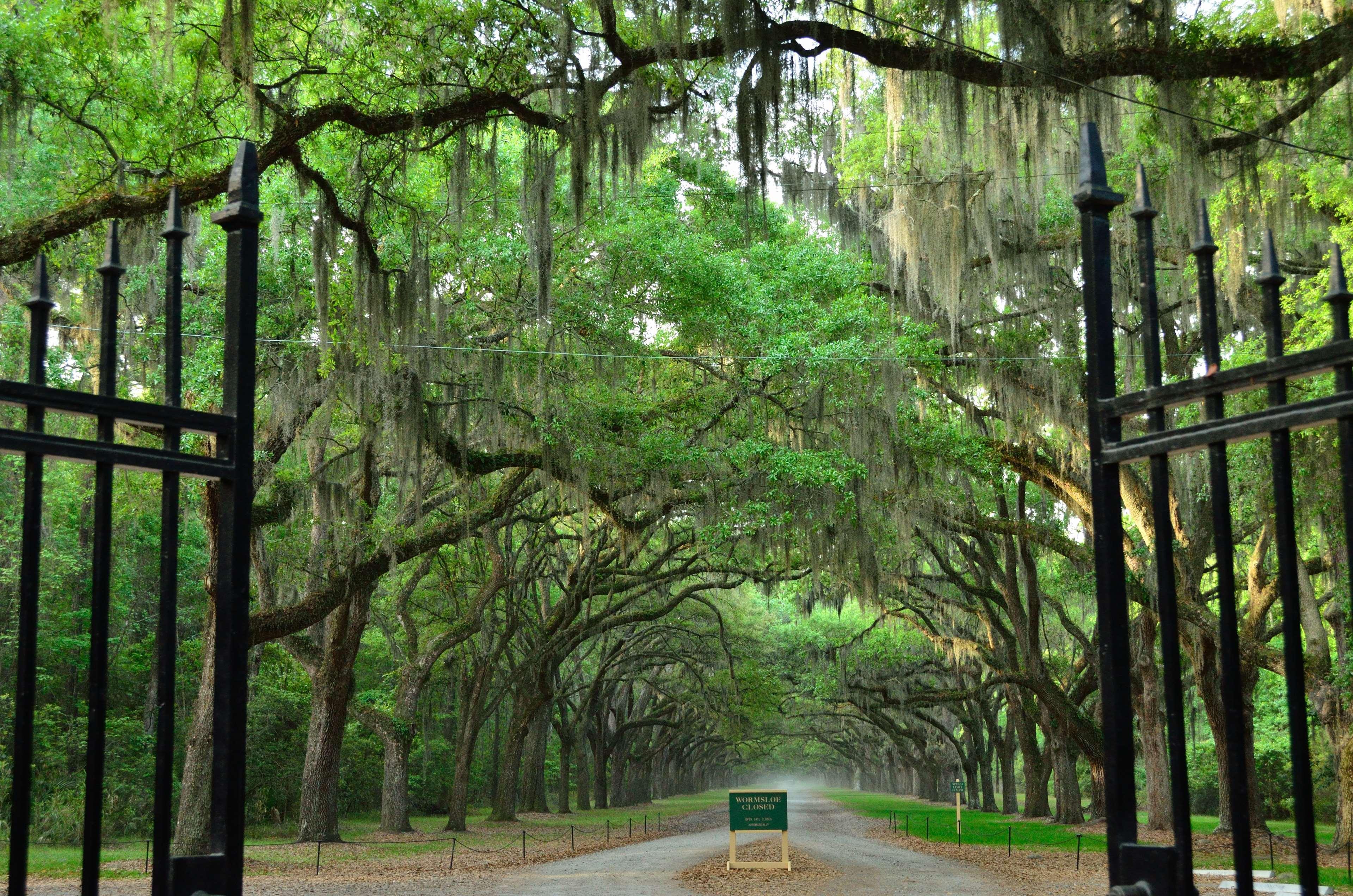 Best Western Central Inn Savannah Exterior photo